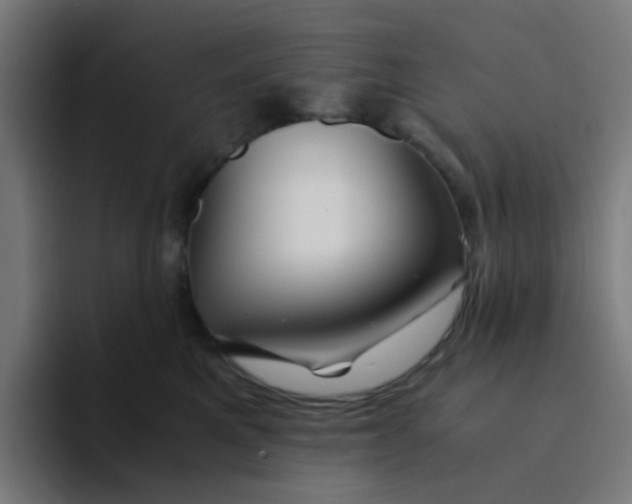 X0000094180521200711161730