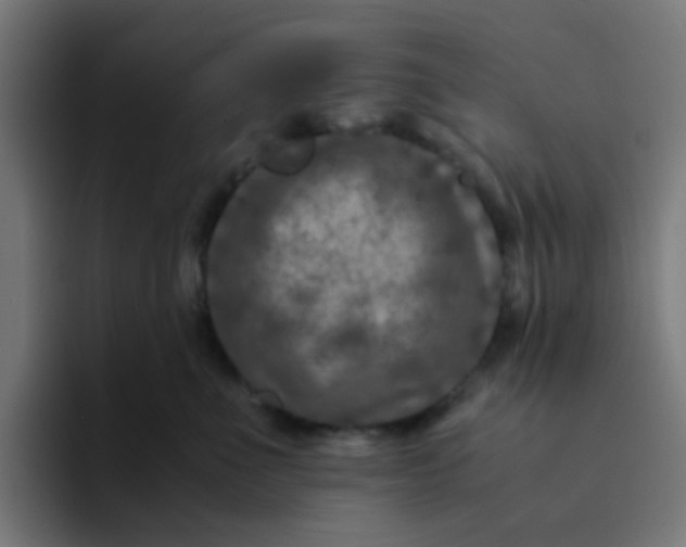 X0000094180523200711161730