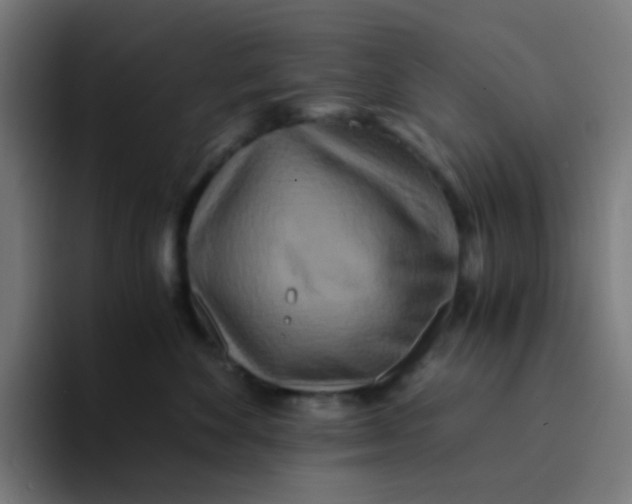 X0000094180524200711161730