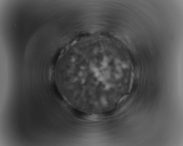 X0000094180527200711161730