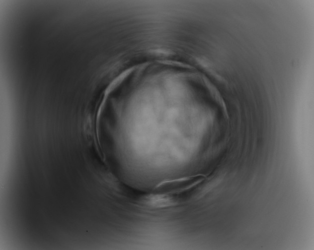 X0000094180528200711161730