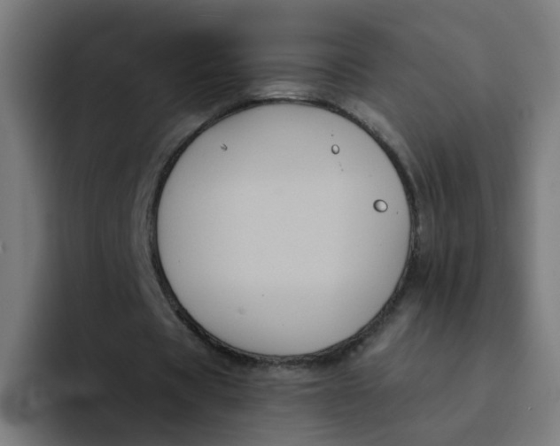 X0000094180529200711161730