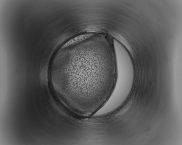 X0000094180530200711161730