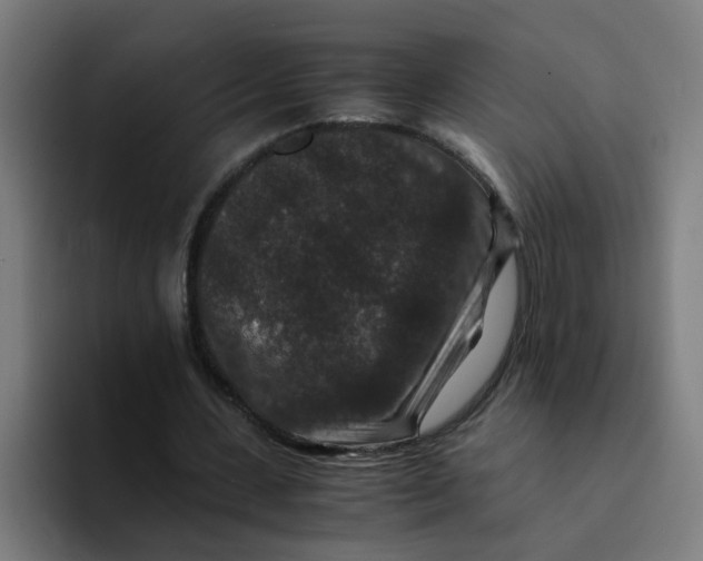 X0000094180531200711161730