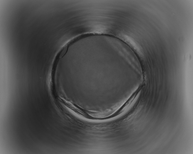 X0000094180532200711161730