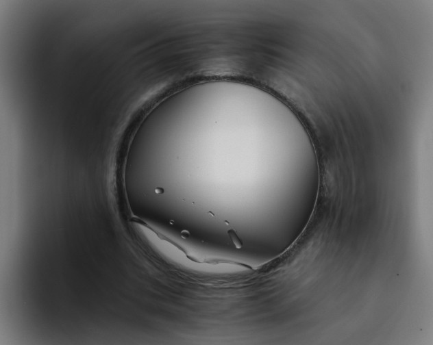 X0000094180535200711161730