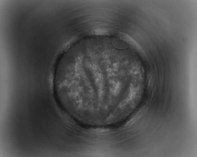 X0000094180542200711161730