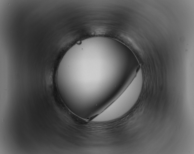 X0000094180543200711161730
