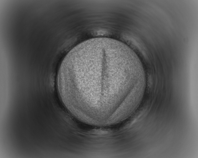 X0000094180545200711161730
