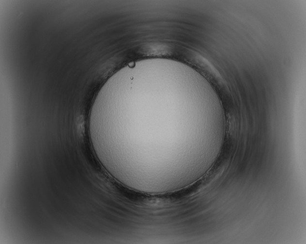 X0000094180549200711161730