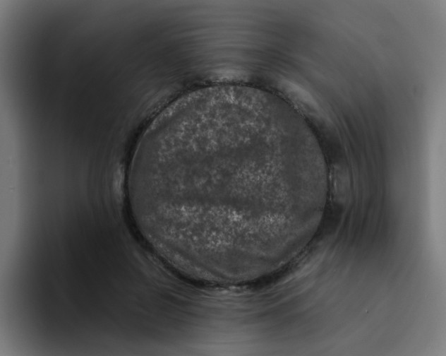 X0000094180550200711161730
