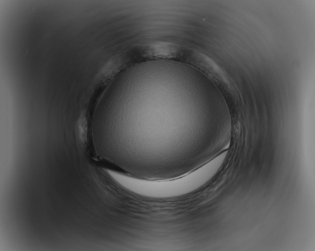 X0000094180552200711161730