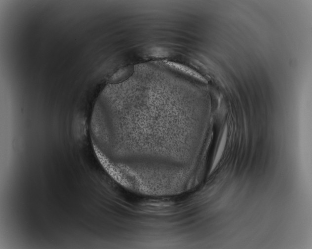 X0000094180555200711161730