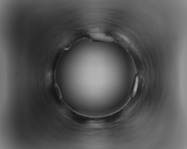 X0000094180556200711161730