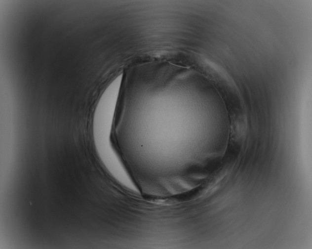 X0000094180558200711161730