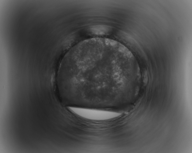 X0000094180559200711161730