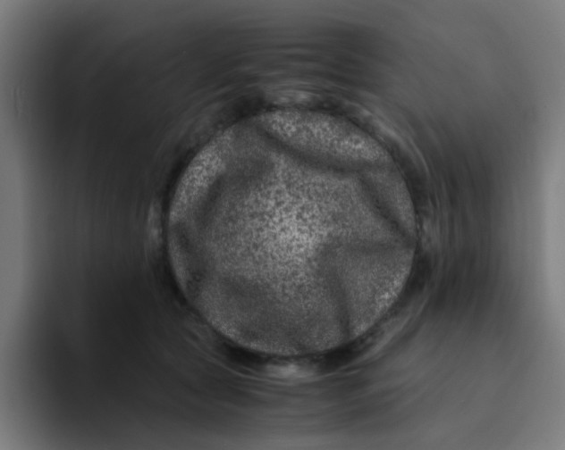 X0000094180561200711161730