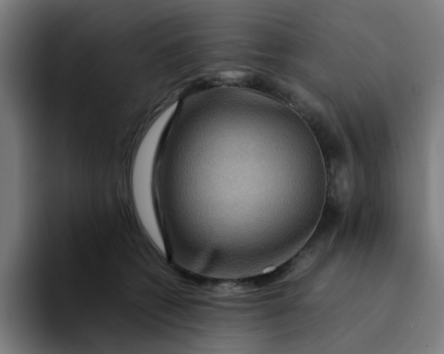 X0000094180562200711161730