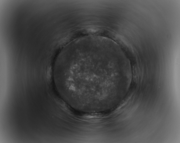 X0000094180563200711161730