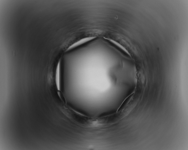 X0000094180564200711161730