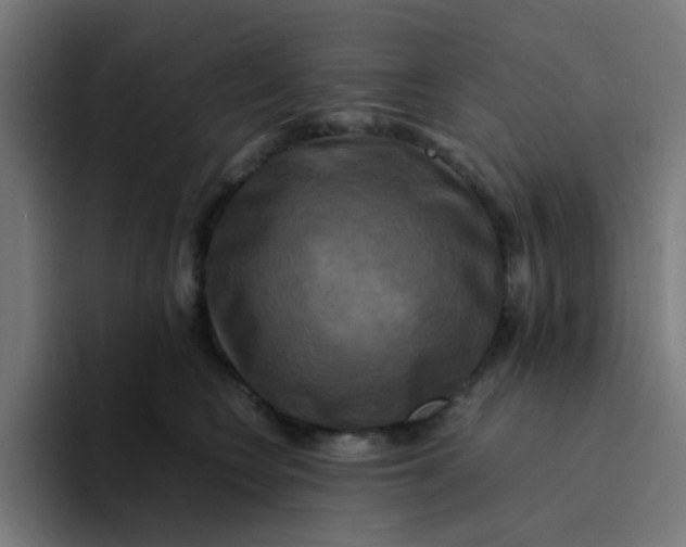 X0000094180566200711161730
