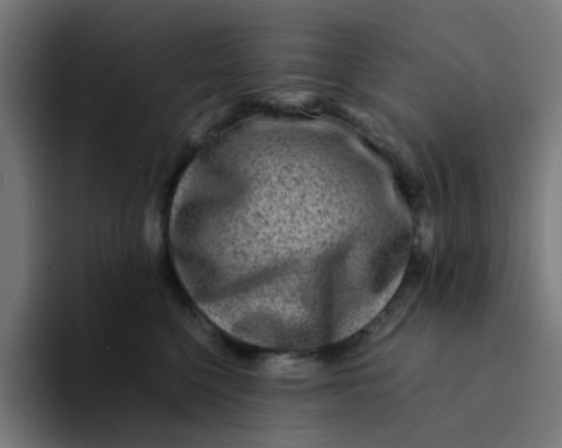 X0000094180568200711161730