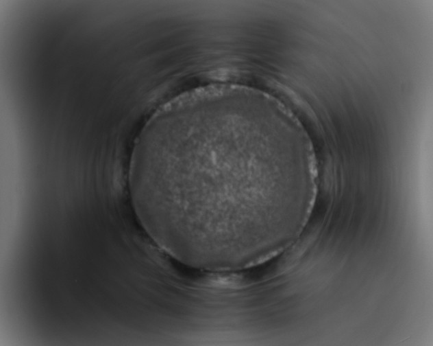 X0000094180569200711161730