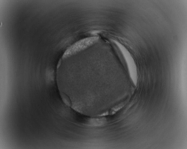 X0000094180571200711161730