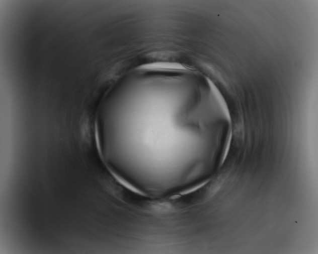 X0000094180572200711161730