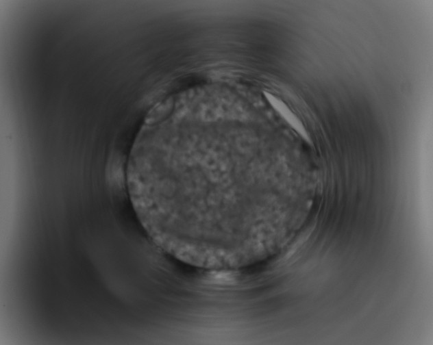 X0000094180573200711161730