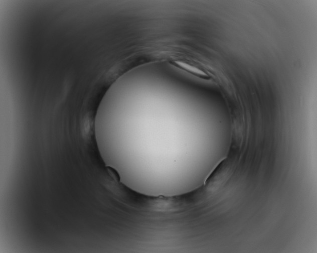 X0000094180574200711161730