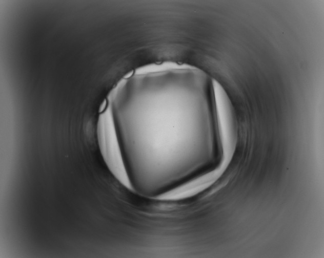 X0000094180575200711161730