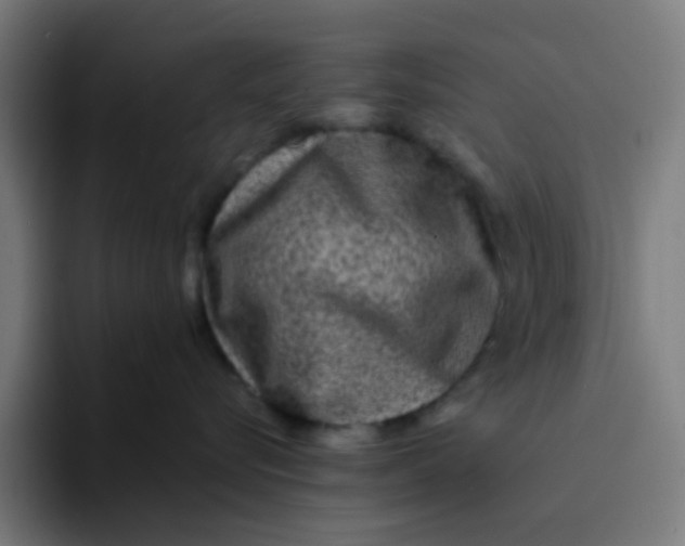 X0000094180576200711161730