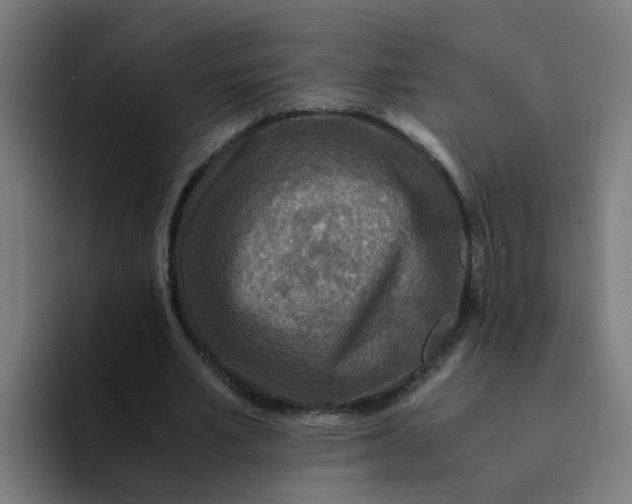 X0000094180581200711161730