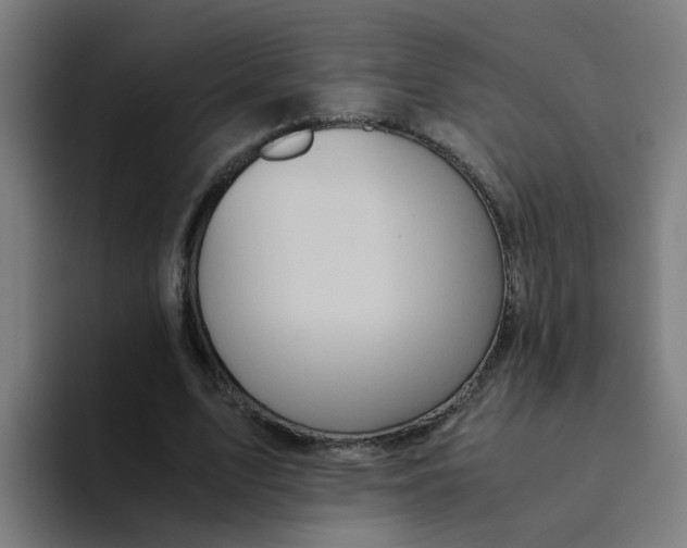 X0000094180583200711161730