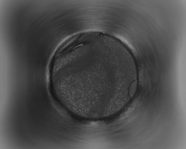 X0000094180584200711161730