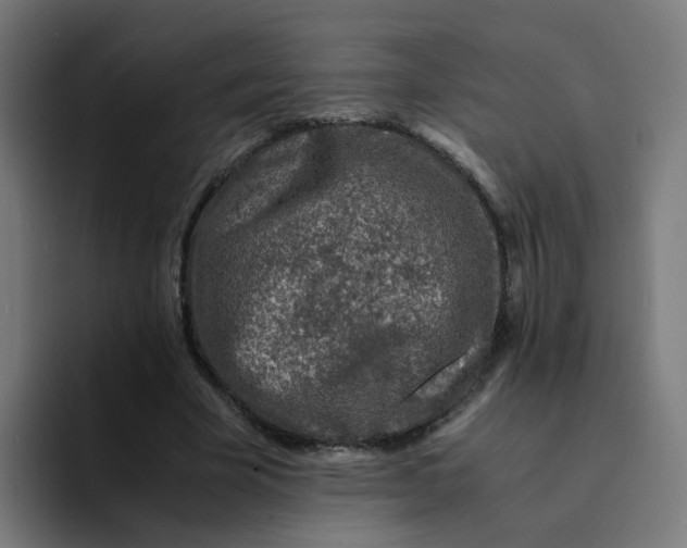 X0000094180585200711161730