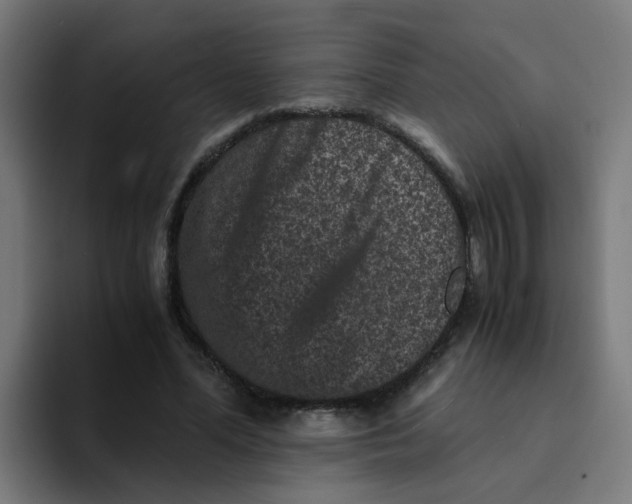 X0000094180588200711161729