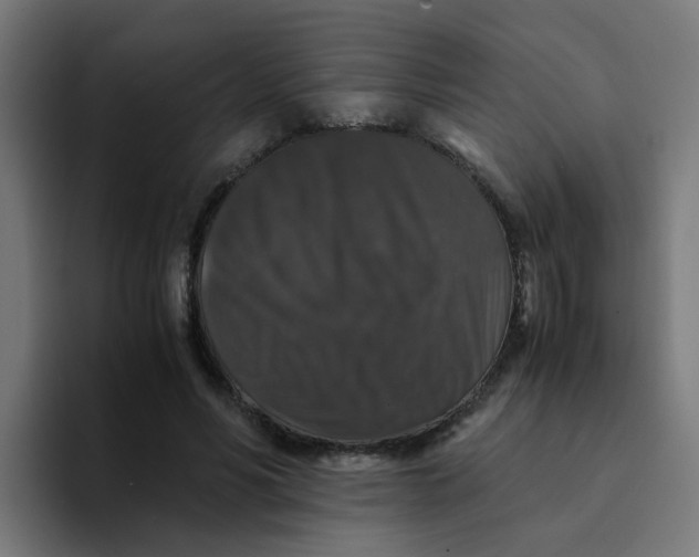 X0000094180590200711161729