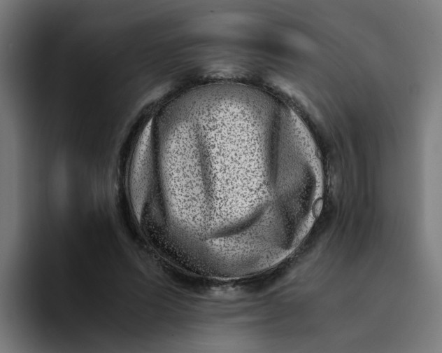 X0000094180591200711161729