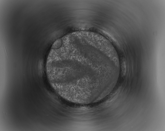 X0000094180594200711161729