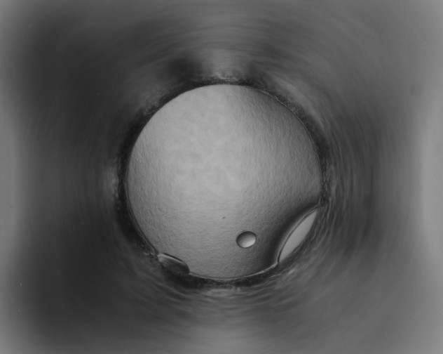 X0000094180595200711161729
