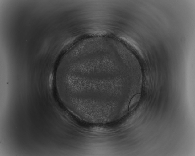 X0000094180596200711161729