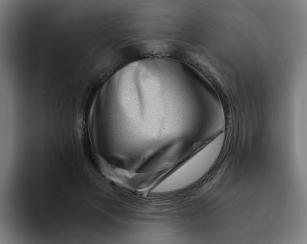 X0000094180597200711161729
