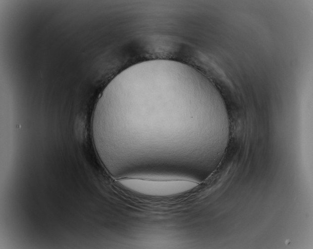 X0000094180599200711161729