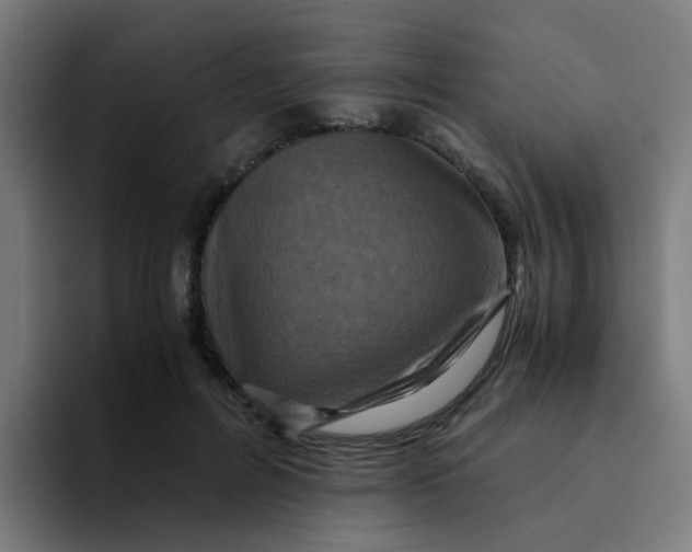X0000094180600200711161729