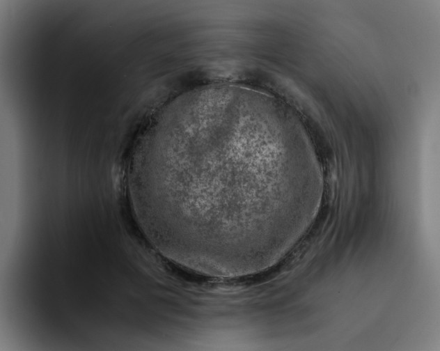 X0000094180601200711161729