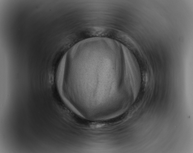 X0000094180602200711161729