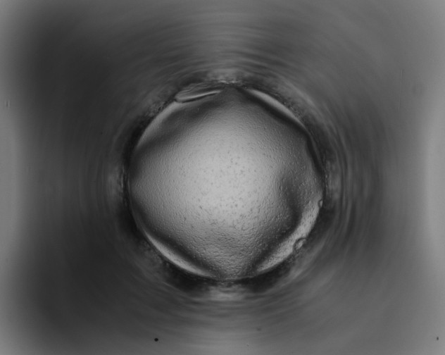 X0000094180603200711161729