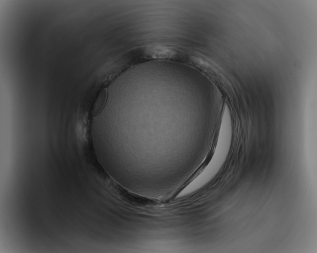 X0000094180604200711161729